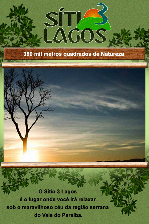 Imagem principal do hotsite